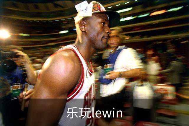 乐玩lewin品牌介绍图片